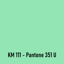 Pastelgroen verijst pantone