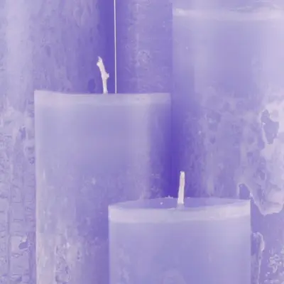 Lavendel vereist