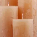 Beech Iced